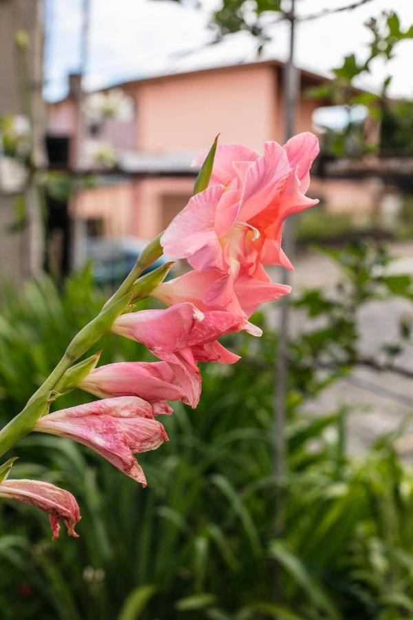 Hotel Pousada Casa Tasca Bento Goncalves Ngoại thất bức ảnh